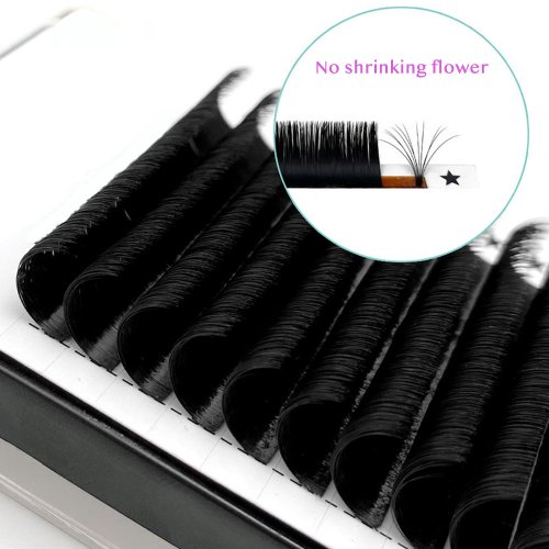 Han Push Fan Extensions