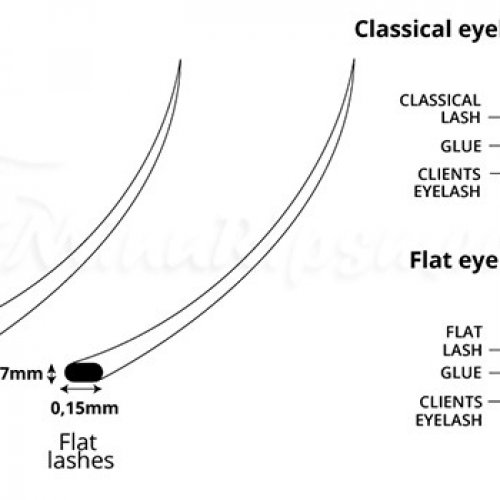 BT Ellipse Extension