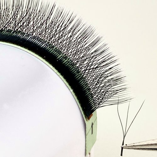 W Premade Eyelash Extensions